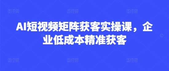 AI短视频矩阵获客实操课，企业低成本精准获客-天云资源博客网-致力于共享资源