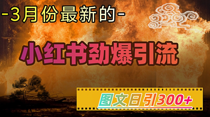 小红书超劲爆引流手段，图文日引300+轻松变现1W-天云资源博客网-致力于共享资源