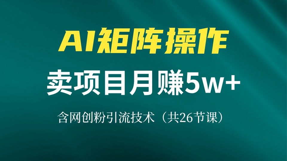 网创IP打造课，借助AI卖项目月赚5万+，含引流技术(共26节课-天云资源博客网-致力于共享资源