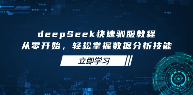 deepSeek快速驯服教程，从零开始，轻松掌握数据分析技能-天云资源博客网-致力于共享资源