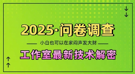 2025问卷调查最新工作室技术解密：一个人在家也可以闷声发大财，小白一天2张，可矩阵放大【揭秘】-天云资源博客网-致力于共享资源