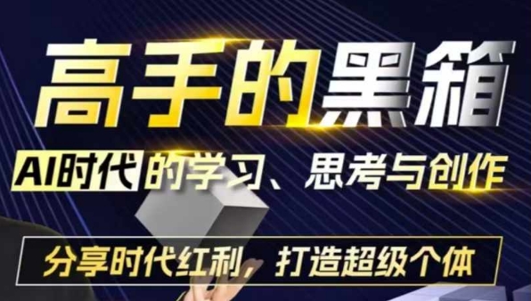 高手的黑箱：AI时代学习、思考与创作-分红时代红利，打造超级个体-天云资源博客网-致力于共享资源