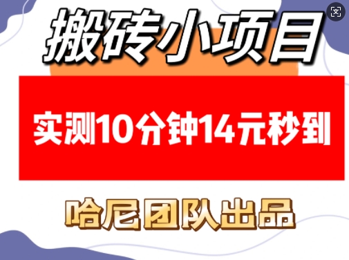 搬砖小项目，实测10分钟14元秒到，每天稳定几张(赠送必看稳定)-天云资源博客网-致力于共享资源