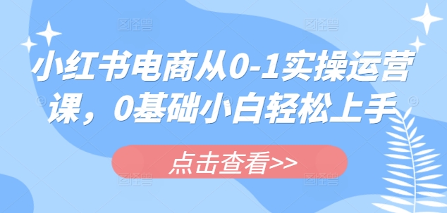 小红书电商从0-1实操运营课，0基础小白轻松上手-天云资源博客网-致力于共享资源