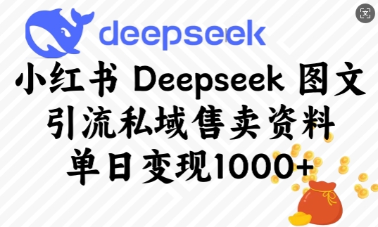 小红书Deepseek图文引流私域售卖资料，单日变现多张-天云资源博客网-致力于共享资源